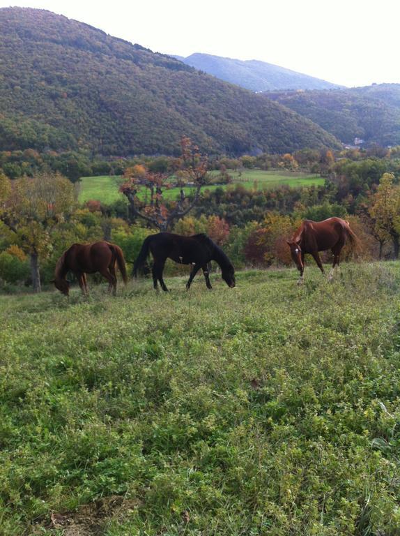 L'Angelo Pellegrino Miniappartamenti Rieti Rum bild